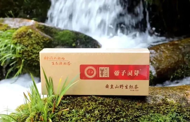 有关于“潇湘·邵阳红”2022湖南生态旅游节暨第三届舜皇山野茶节将于5月开幕的消息(1)