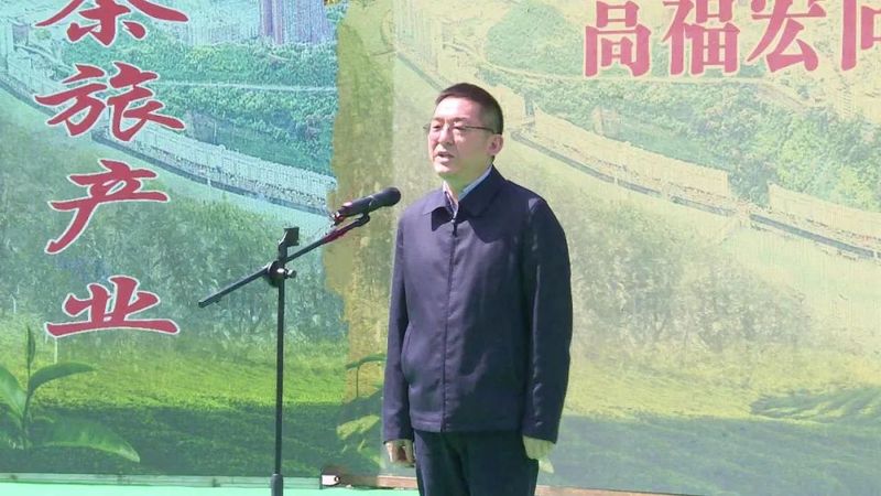 关于白河第四届茶旅文化节正式启动的相关信息(2)