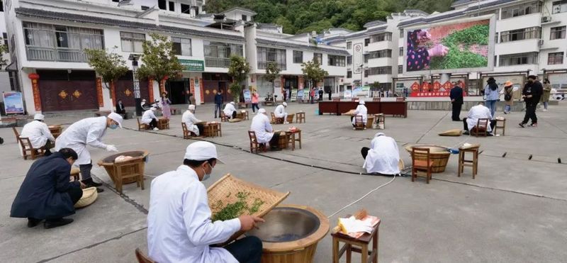 关于白河第四届茶旅文化节正式启动的相关信息(9)
