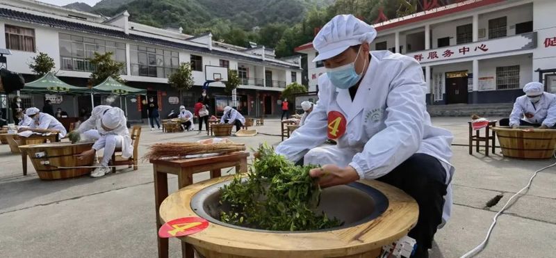 关于白河第四届茶旅文化节正式启动的相关信息(10)