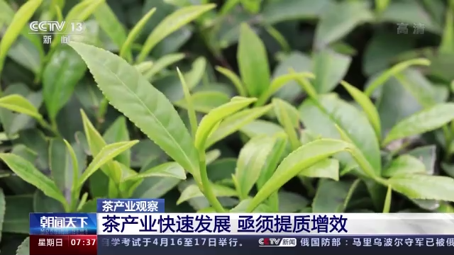 关于“2022春茶总产量”“多措并举促进茶产业发展”“西湖龙井入选CCTV物产中国”的信息(4)