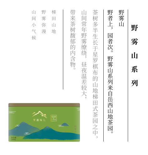 有关于岳西:深山出好茶 幽谷润兰香的相关内容(3)