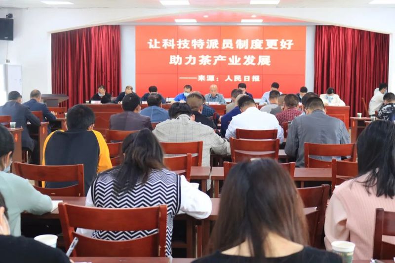 关于聚焦澄源茶产业 努力打造茶产业发展新格局的内容