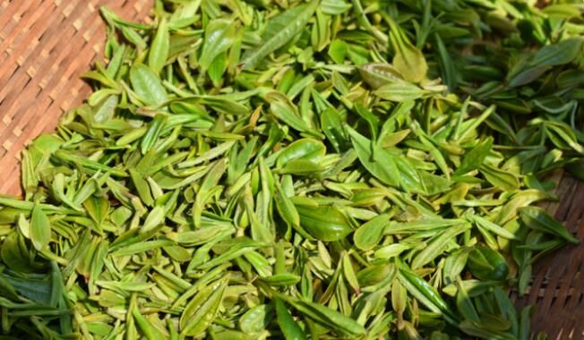有关于诸城茶“文章”瞄准高品质目标,一片叶子成就一个产业的内容(3)