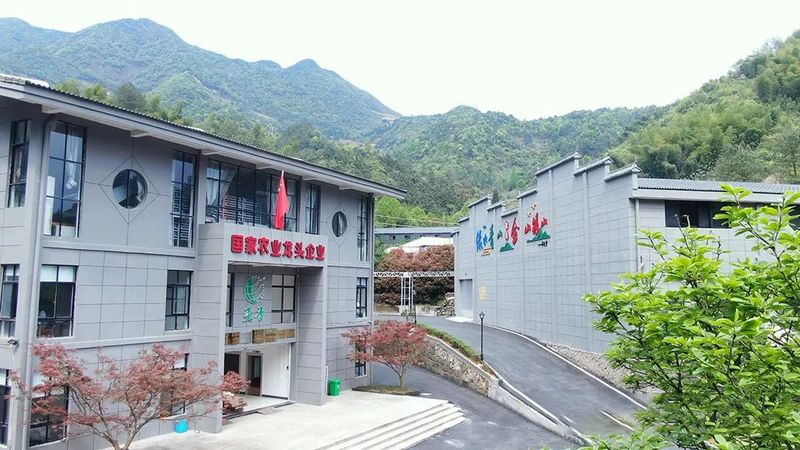 有关于百条红色茶乡旅游精品路线,浙江金华:武义特色茶产业游的新闻(9)