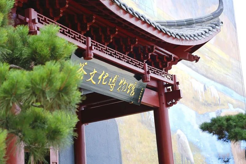 有关于百条红色茶乡旅游精品路线,浙江金华:武义特色茶产业游的新闻(3)
