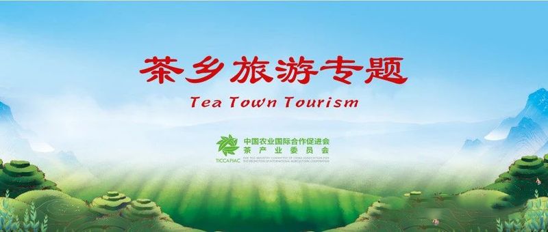 有关于百条红色茶乡旅游精品路线,浙江金华:武义特色茶产业游的新闻