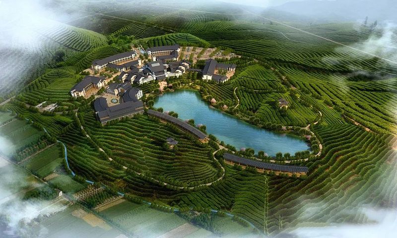 有关于百条红色茶乡旅游精品路线,浙江金华:武义特色茶产业游的新闻(2)