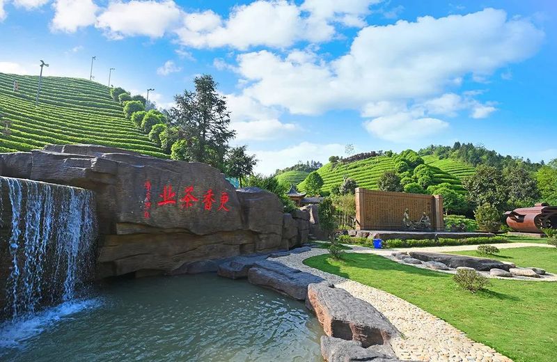有关于百条红色茶乡旅游精品路线,浙江金华:武义特色茶产业游的新闻(7)