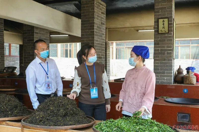 关于梧州市蹲点监督守护“一片叶子”的内容(4)