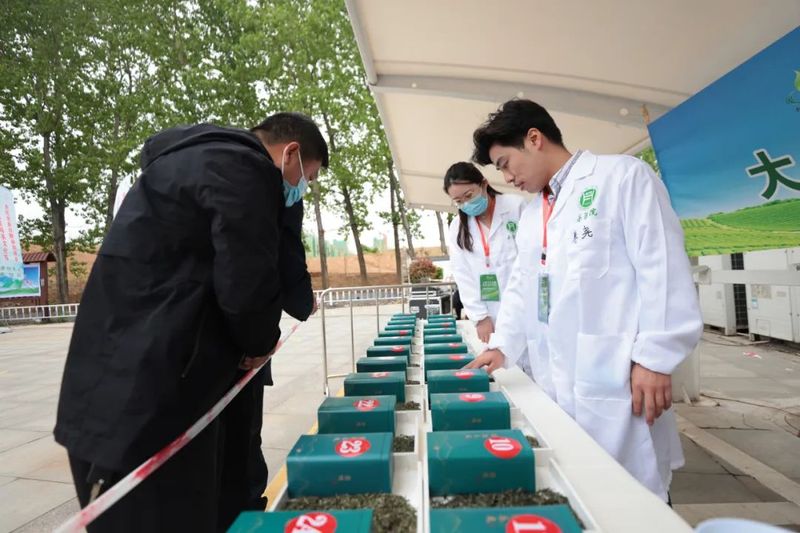 有关于云赏毛尖之都 共享美好生活 —— 第30届信阳茶文化节“全民饮茶日”暨谷雨茶会成功举办的内容(8)