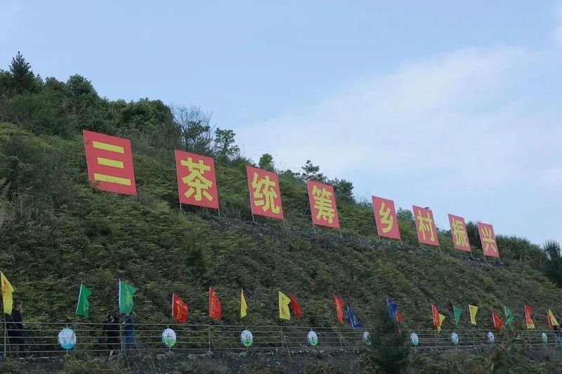 关于2022年安溪开茶节成功举办！的最新消息(3)