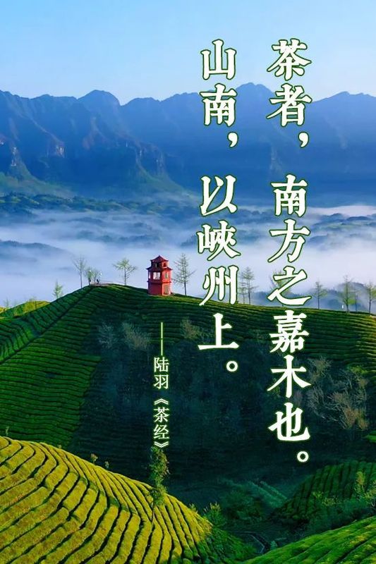 有关于茶香四溢的湖北出了两件大事：产量跃居中国第二；有了自己的代言茶礼——还可读、可听的相关信息