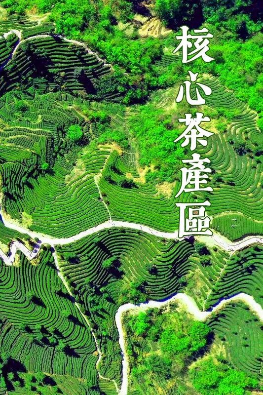 有关于茶香四溢的湖北出了两件大事：产量跃居中国第二；有了自己的代言茶礼——还可读、可听的相关信息(10)
