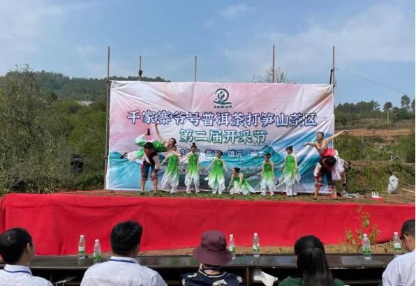关于镇沅：“四爷”打笋山茶开采 “茶王”“茶后”分别以4万元和3.9万元的价格拍出的资讯(1)