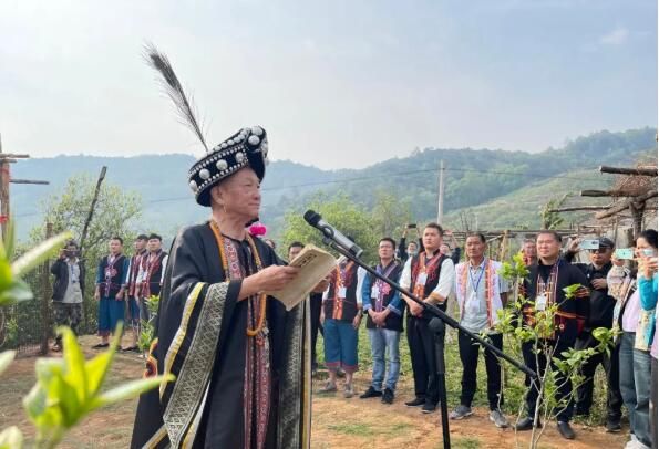 关于镇沅：“四爷”打笋山茶开采 “茶王”“茶后”分别以4万元和3.9万元的价格拍出的资讯