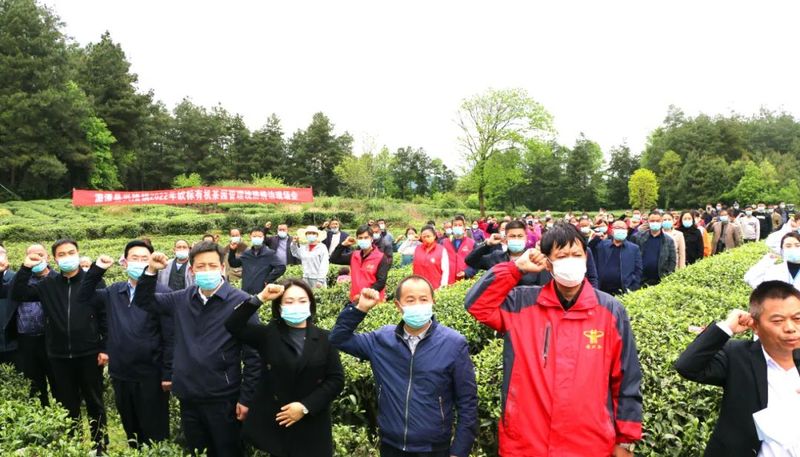 有关于建设欧标有机茶园！湄潭兴隆镇举行现场推进会的内容