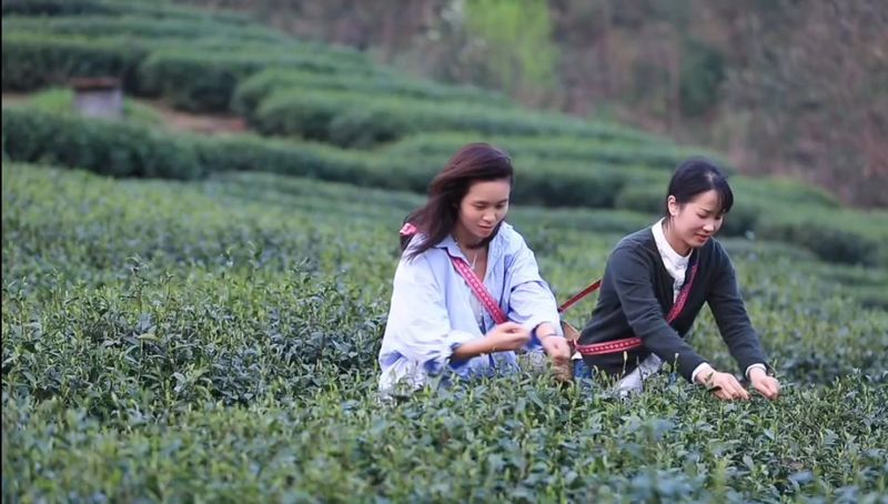有关于黔东南州首届最美茶艺师评选结果“出炉”的消息(4)