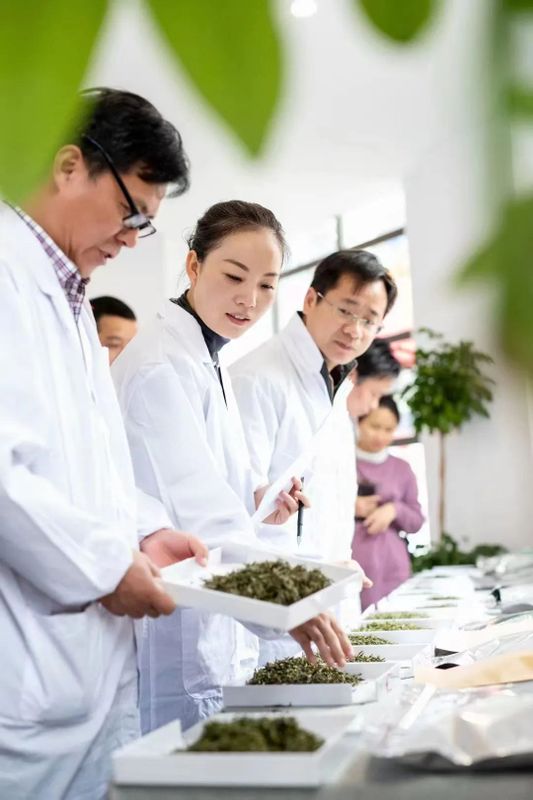 有关于 九江 · 濂溪“茶王争霸赛”等五大茶事活动 助力茶商大会启幕的资讯(3)