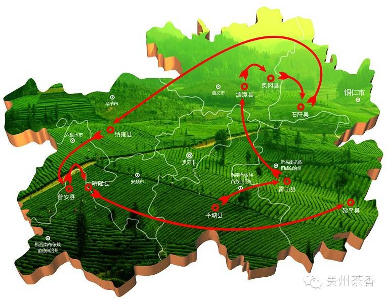 关于五一假期 最惬意的劳动就是去美美地采茶的新闻