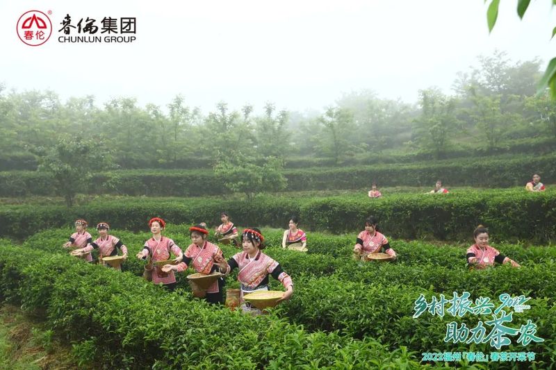 有关于助力茶农 乡村振兴,2022福州(春伦)春茶开采节成功举办的最新消息(5)