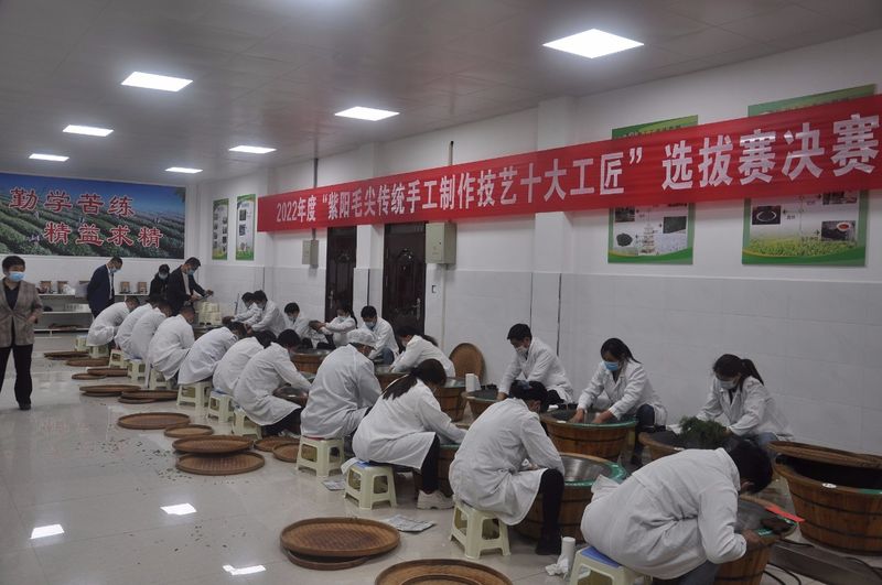 有关于2022年度紫阳毛尖传统手工制作技艺十大工匠选拔赛圆满落幕的内容(4)