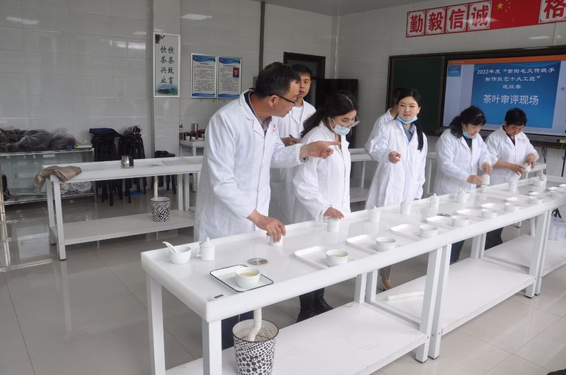 有关于2022年度紫阳毛尖传统手工制作技艺十大工匠选拔赛圆满落幕的内容(6)