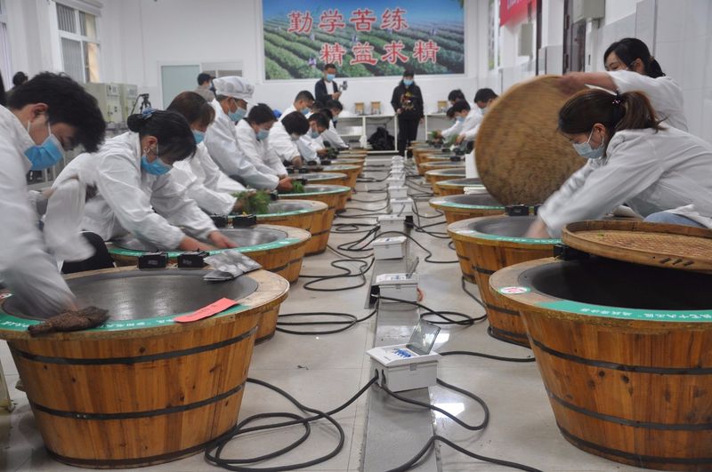 有关于2022年度紫阳毛尖传统手工制作技艺十大工匠选拔赛圆满落幕的内容(3)