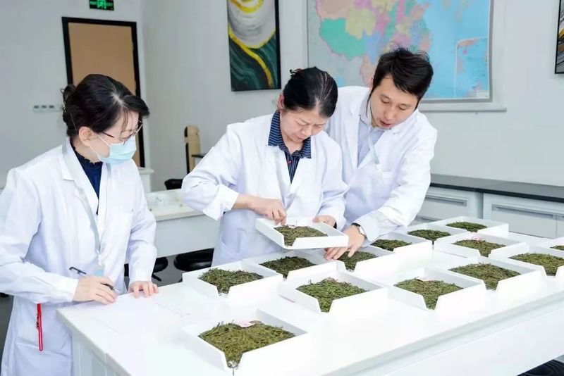 有关于2022年杭州市农业职业技能大赛正式启动!的资讯(6)