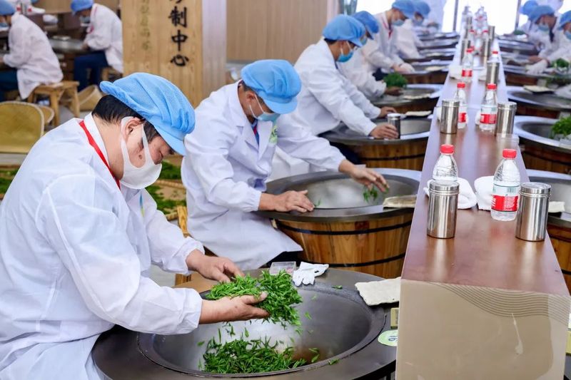 有关于2022年杭州市农业职业技能大赛正式启动!的资讯(2)