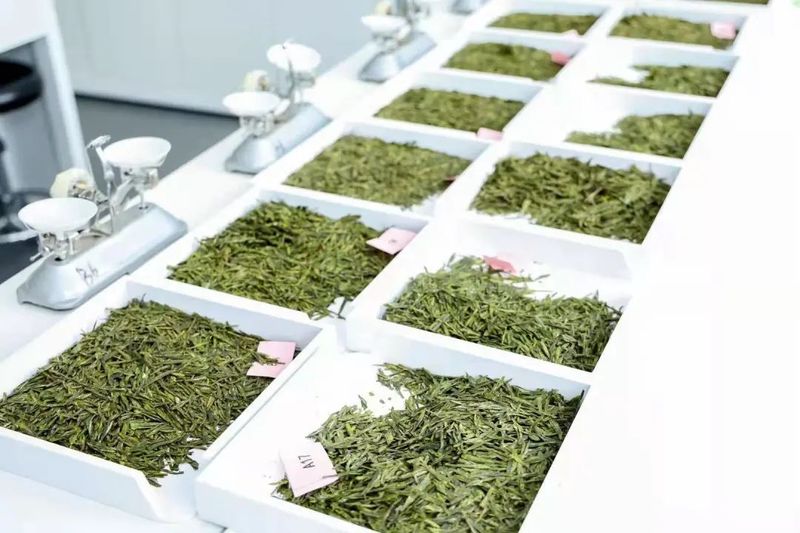 有关于2022年杭州市农业职业技能大赛正式启动!的资讯(7)