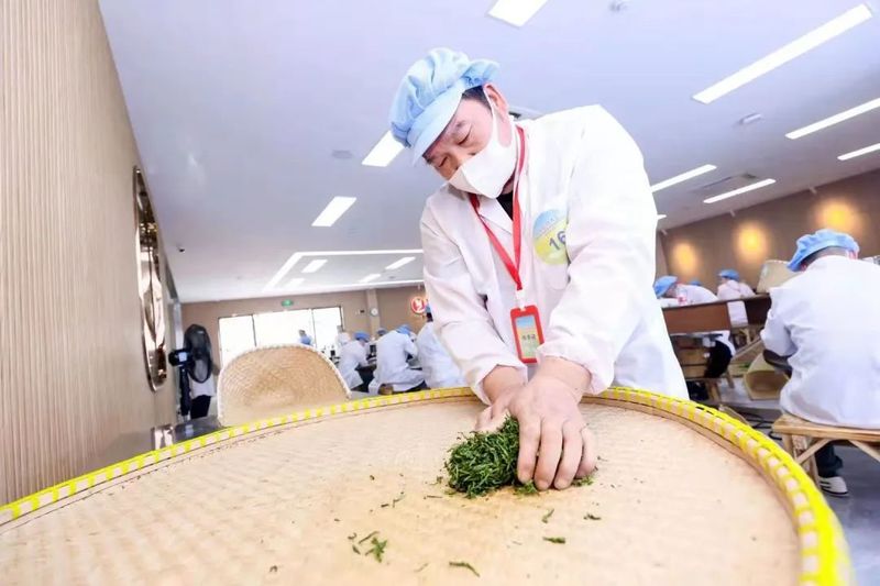有关于2022年杭州市农业职业技能大赛正式启动!的资讯(9)