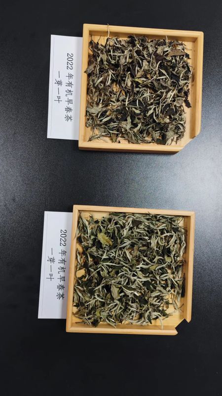 关于八角亭的消息(5)