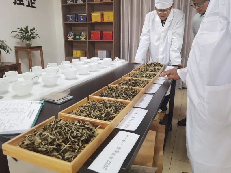 关于八角亭的消息(6)