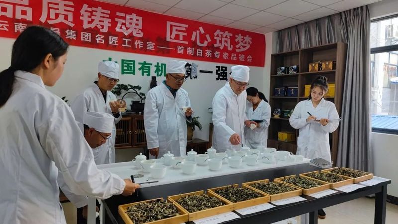 关于八角亭的消息(10)