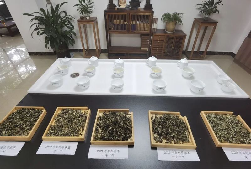关于八角亭的消息(3)
