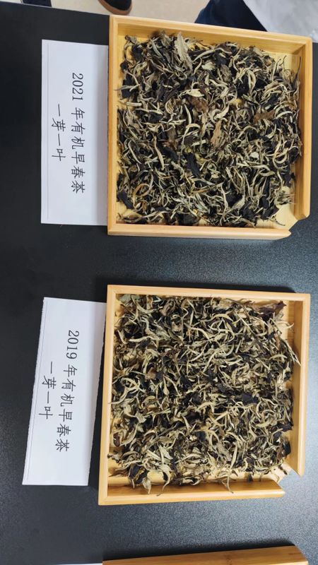 关于八角亭的消息(4)