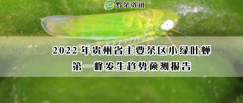 关于2022年贵州省主要茶区小绿叶蝉第一峰发生趋势预测报告的最新消息