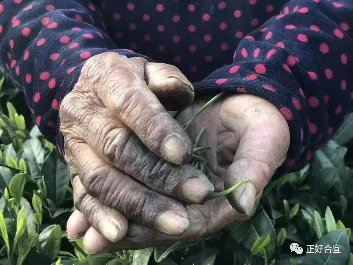 关于“五一”国际劳动节,劳动之手 点燃行业之光的最新消息(1)