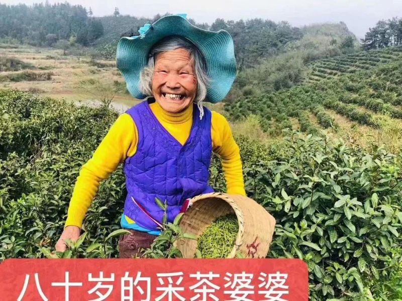 关于“五一”国际劳动节,劳动之手 点燃行业之光的最新消息(3)