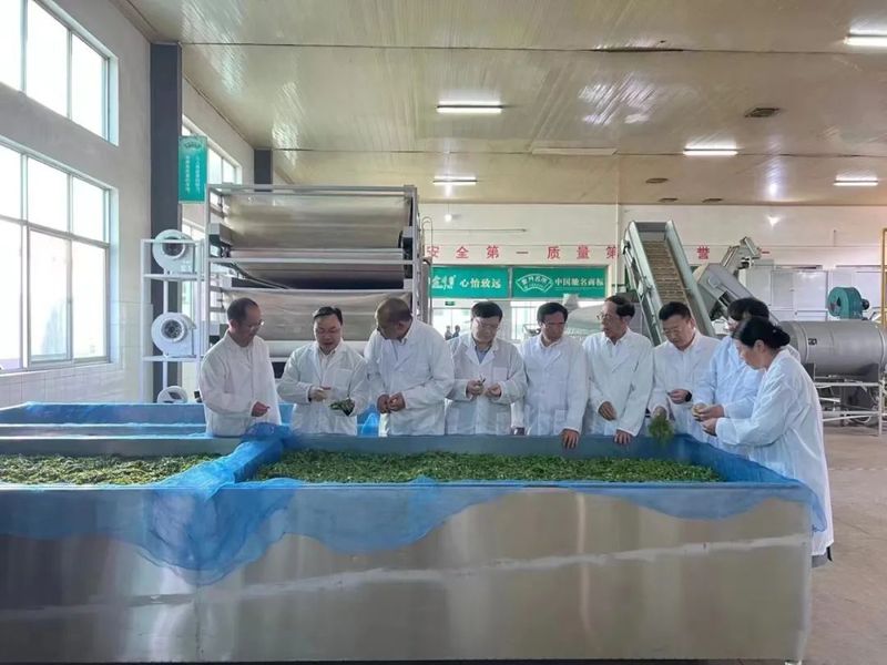 有关于一片小叶子撬动大产业，“潇湘”茶“走红”的背后逻辑的相关内容(1)