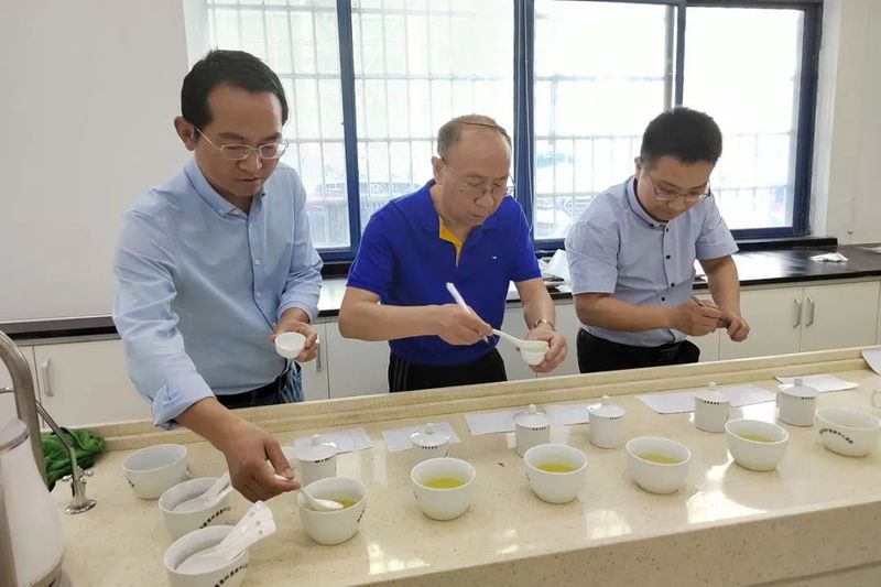 有关于“湖北健康好茶礼”审评会在华农举行的新闻(1)
