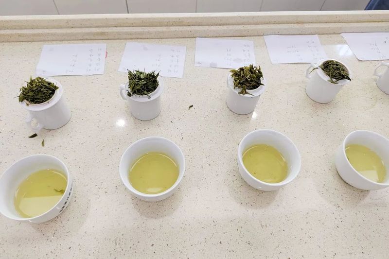 有关于“湖北健康好茶礼”审评会在华农举行的新闻(3)
