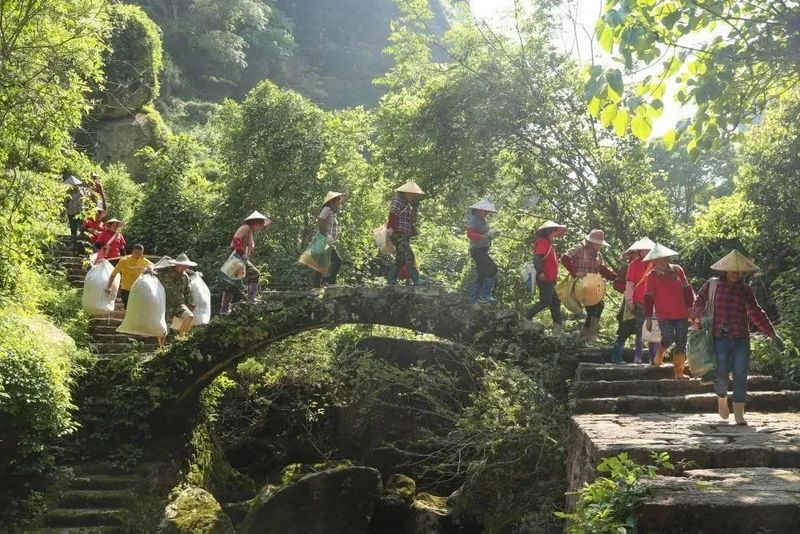 关于今天，武夷山又迎喜事！的消息