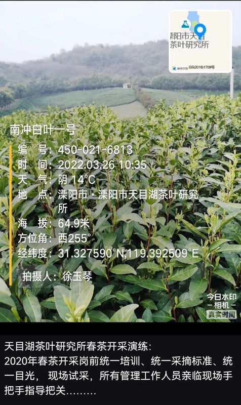 有关于求解疫情背后的苏茶困局的资讯(3)