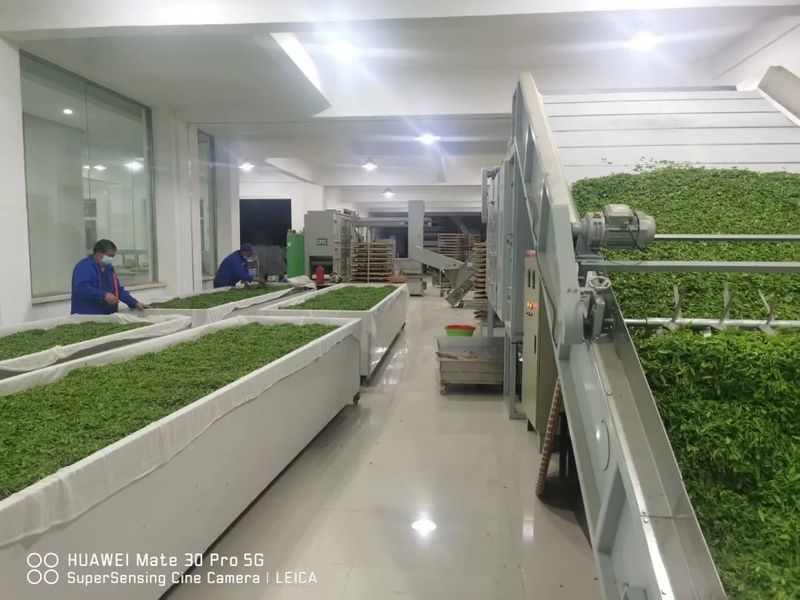 有关于求解疫情背后的苏茶困局的资讯(5)