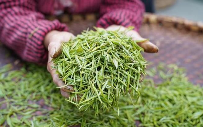 关于陕西春茶尝鲜季，来汉中镇巴县品高山云雾茶的相关信息(10)