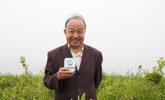 关于陕西春茶尝鲜季，来汉中镇巴县品高山云雾茶的相关信息(8)
