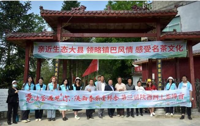 关于陕西春茶尝鲜季，来汉中镇巴县品高山云雾茶的相关信息(3)