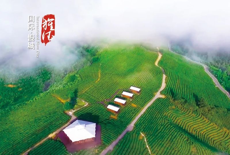 关于2022全国茶旅精品线路候选线路欣赏(安徽篇)的资讯(4)